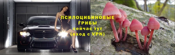 крисы Армянск