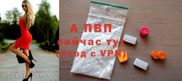крисы Армянск
