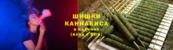 сатива Арсеньев