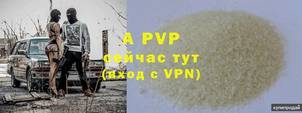 сатива Арсеньев